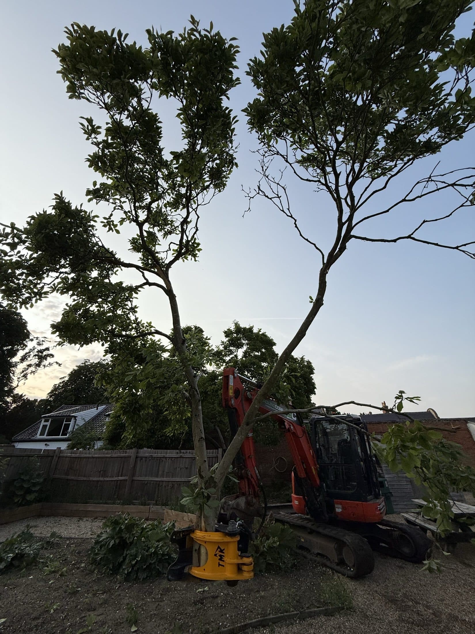 A GroundCore excavator cutting through a tree with its yellow hydraulic shear attachment