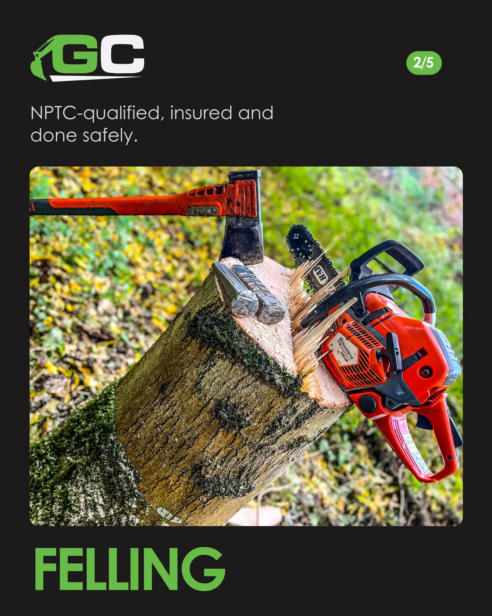Felling slide: a chainsaw and felling axe resting on a freshly cut tree stump