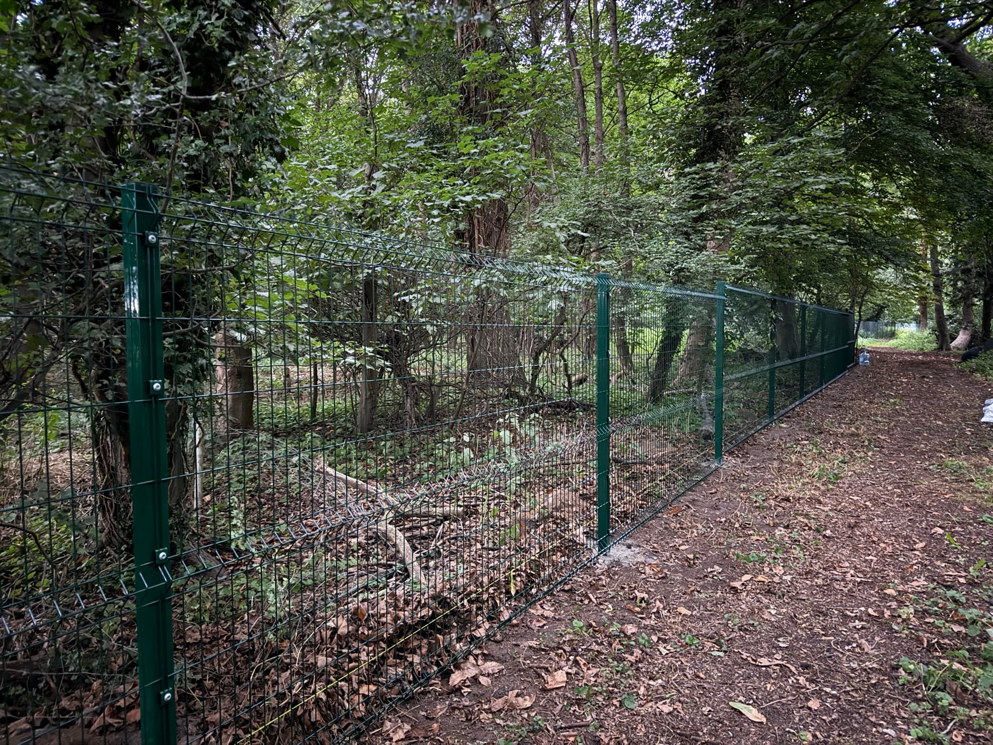 A mesh fencing run through woodland