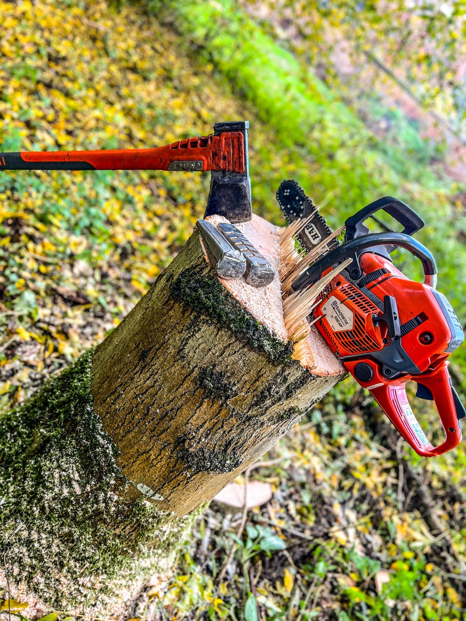Tree felling and clearance tools on a freshly cut log