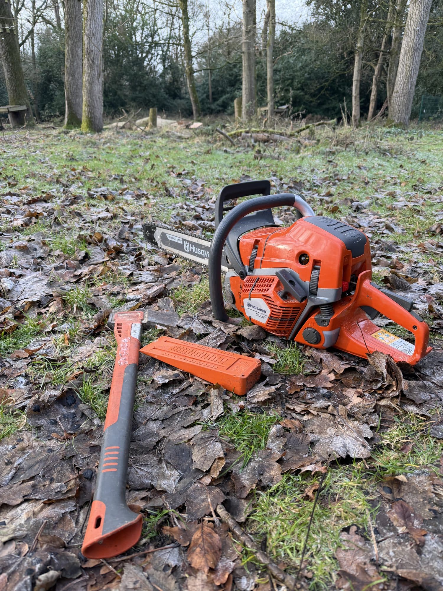 A chainsaw, felling axe and wedge laid out on leaf litter before a woodland felling job